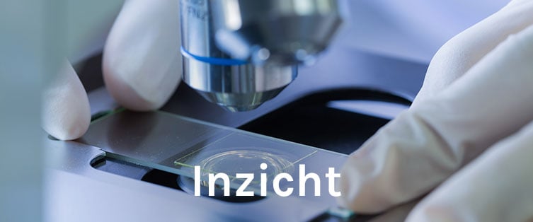 Inzicht